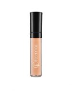 PERFECT COVERAGE LIQUID CONCEALER