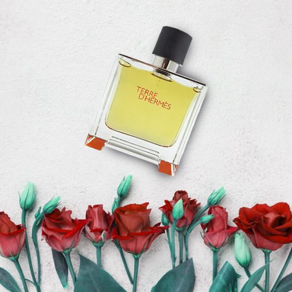 عطر ادکلن هرمس تق هرمس-Hermes Terre d’Hermes