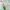 perfume-banner perfume-banner